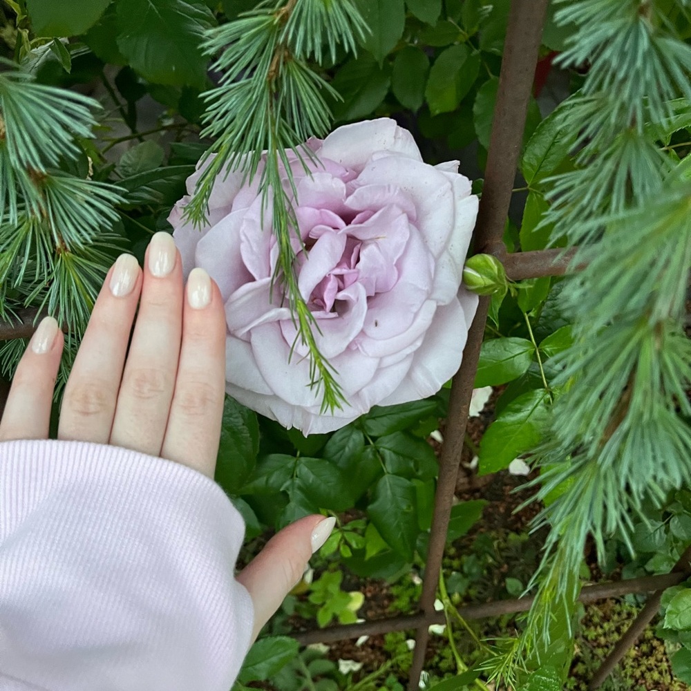 Meet your Posher, Sofie